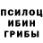 Галлюциногенные грибы GOLDEN TEACHER Constans Kim