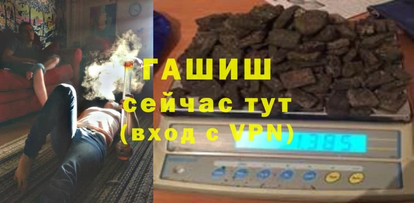 гидра Горняк