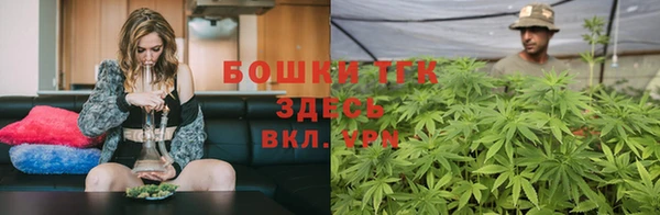 шишки Горно-Алтайск