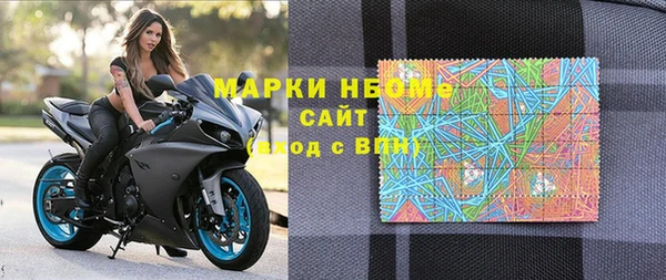 прущие грибы Кстово