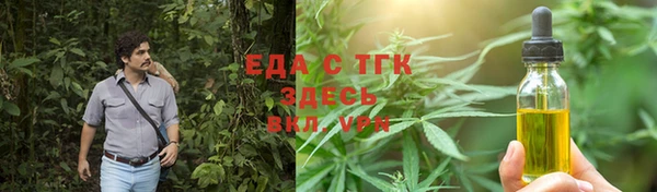 шишки Горно-Алтайск