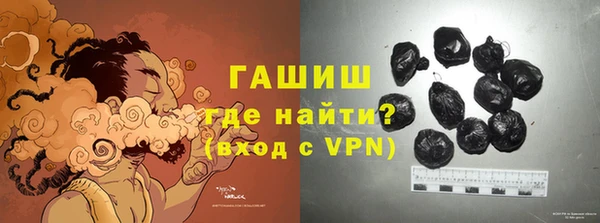 шишки Горно-Алтайск