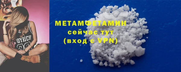 гидра Горняк