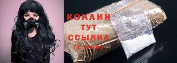 шишки Горно-Алтайск