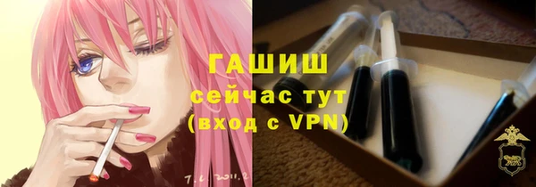 шишки Горно-Алтайск