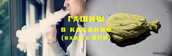 шишки Горно-Алтайск