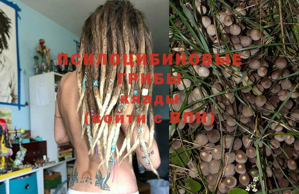 гидра Горняк