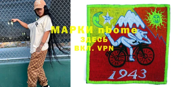 шишки Горно-Алтайск