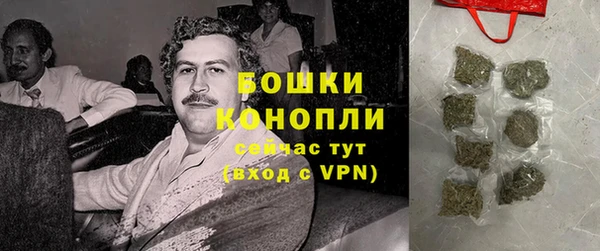 шишки Горно-Алтайск