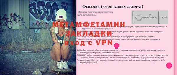 шишки Горно-Алтайск