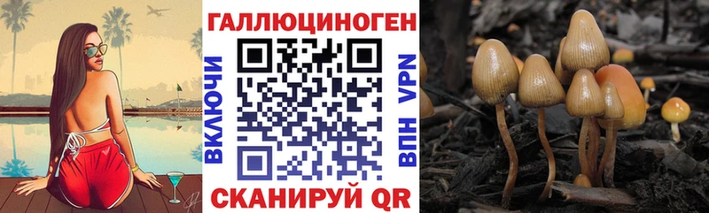 Псилоцибиновые грибы мицелий  купить   это телеграм  Моршанск 