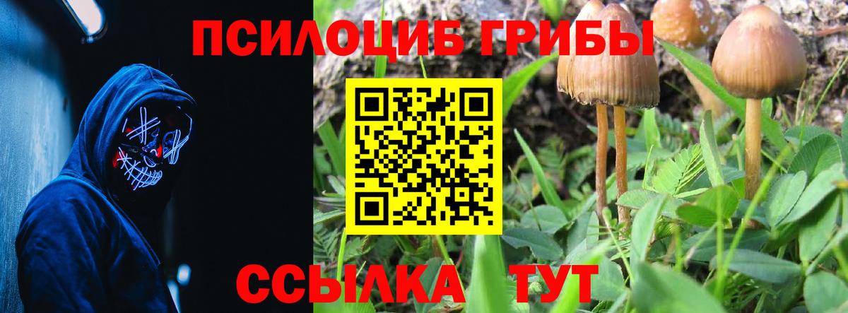 Моршанск  Галлюциногенные грибы прущие грибы  Вход с VPN 