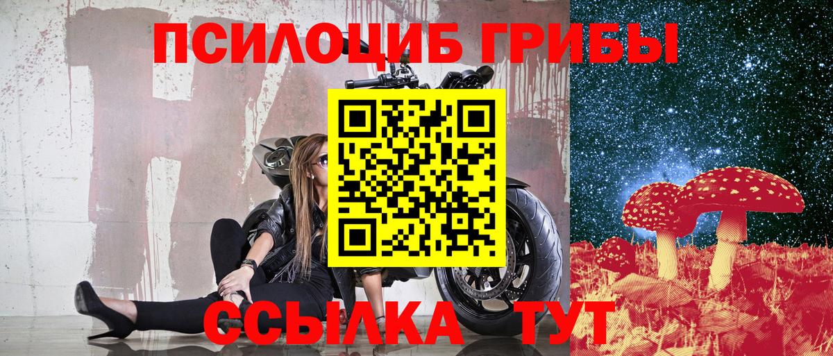 Псилоцибиновые грибы Psilocybe Моршанск